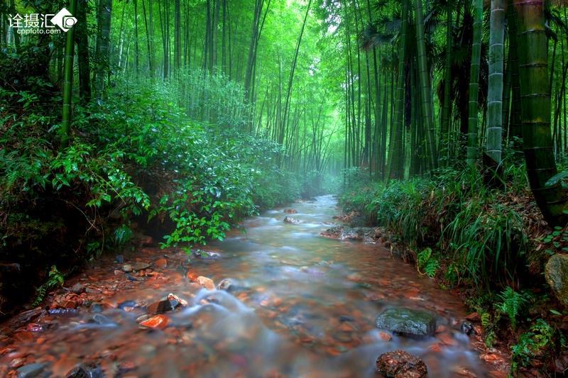 黎明杀机